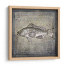 Ocean Fish Ii - Beth Anne Creative | Cuadro decorativo de Canvas Lab