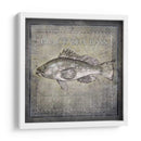 Ocean Fish Ii - Beth Anne Creative | Cuadro decorativo de Canvas Lab