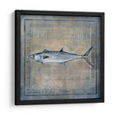 Ocean Fish Iii - Beth Anne Creative | Cuadro decorativo de Canvas Lab