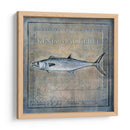 Ocean Fish Iii - Beth Anne Creative | Cuadro decorativo de Canvas Lab