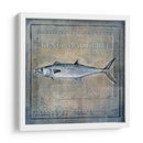 Ocean Fish Iii - Beth Anne Creative | Cuadro decorativo de Canvas Lab