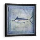 Pez Oceánico V - Beth Anne Creative | Cuadro decorativo de Canvas Lab