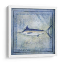Pez Oceánico V - Beth Anne Creative | Cuadro decorativo de Canvas Lab