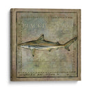 Ocean Fish Vi - Beth Anne Creative | Cuadro decorativo de Canvas Lab