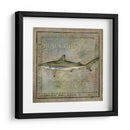 Ocean Fish Vi - Beth Anne Creative | Cuadro decorativo de Canvas Lab