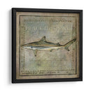Ocean Fish Vi - Beth Anne Creative | Cuadro decorativo de Canvas Lab