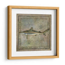 Ocean Fish Vi - Beth Anne Creative | Cuadro decorativo de Canvas Lab