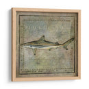 Ocean Fish Vi - Beth Anne Creative | Cuadro decorativo de Canvas Lab