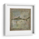 Ocean Fish Vi - Beth Anne Creative | Cuadro decorativo de Canvas Lab