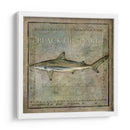 Ocean Fish Vi - Beth Anne Creative | Cuadro decorativo de Canvas Lab