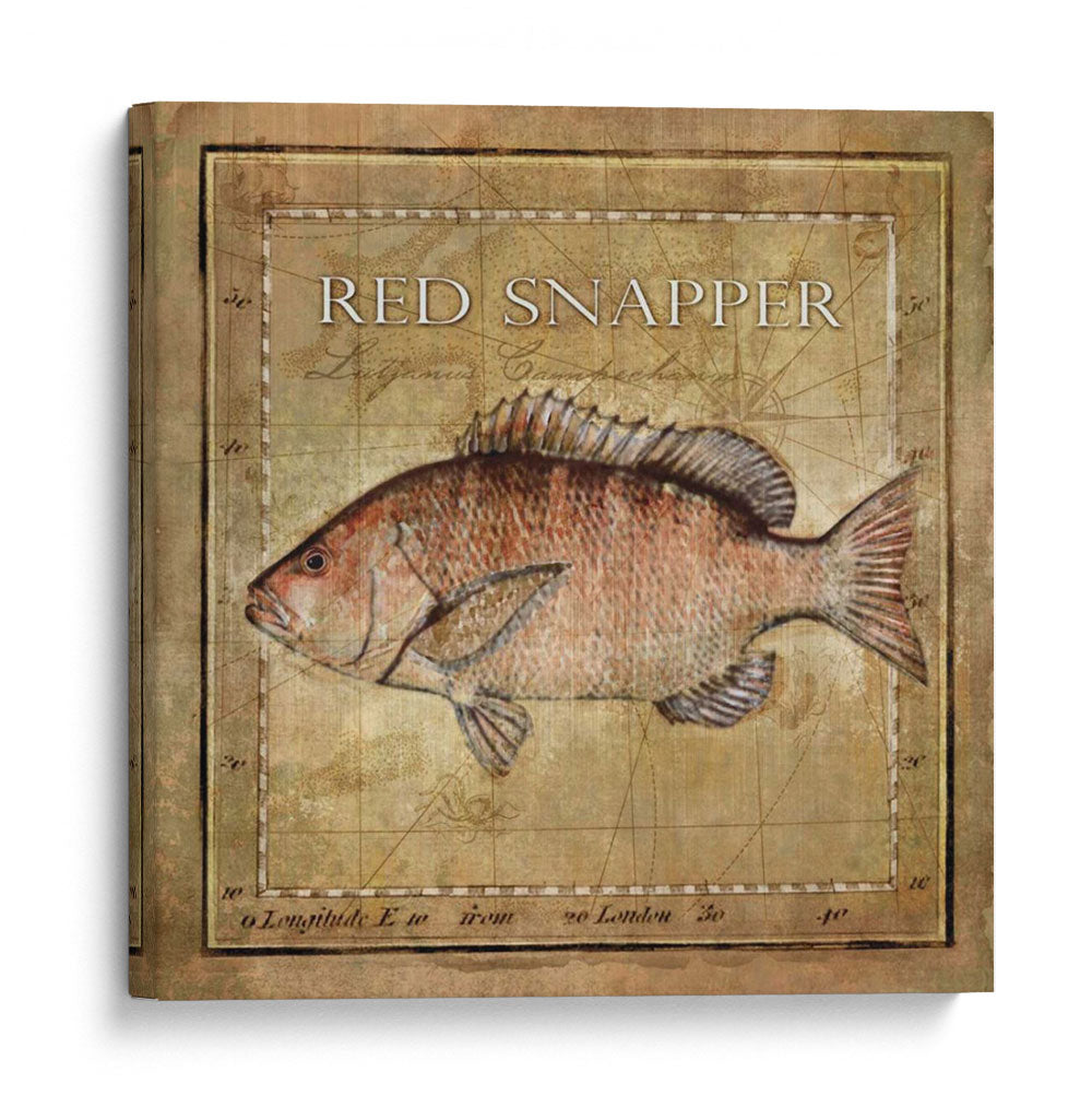 Ocean Fish Vii - Beth Anne Creative | Cuadro decorativo de Canvas Lab
