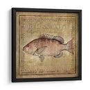 Ocean Fish Vii - Beth Anne Creative | Cuadro decorativo de Canvas Lab