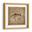 Ocean Fish Vii - Beth Anne Creative | Cuadro decorativo de Canvas Lab