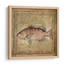 Ocean Fish Vii - Beth Anne Creative | Cuadro decorativo de Canvas Lab