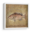 Ocean Fish Vii - Beth Anne Creative | Cuadro decorativo de Canvas Lab