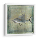 Ocean Fish Viii - Beth Anne Creative | Cuadro decorativo de Canvas Lab