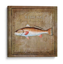 Ocean Fish Ix - Beth Anne Creative | Cuadro decorativo de Canvas Lab