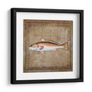 Ocean Fish Ix - Beth Anne Creative | Cuadro decorativo de Canvas Lab