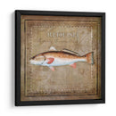 Ocean Fish Ix - Beth Anne Creative | Cuadro decorativo de Canvas Lab