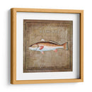 Ocean Fish Ix - Beth Anne Creative | Cuadro decorativo de Canvas Lab