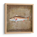 Ocean Fish Ix - Beth Anne Creative | Cuadro decorativo de Canvas Lab