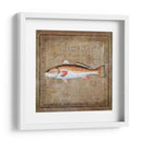 Ocean Fish Ix - Beth Anne Creative | Cuadro decorativo de Canvas Lab