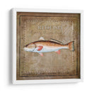 Ocean Fish Ix - Beth Anne Creative | Cuadro decorativo de Canvas Lab