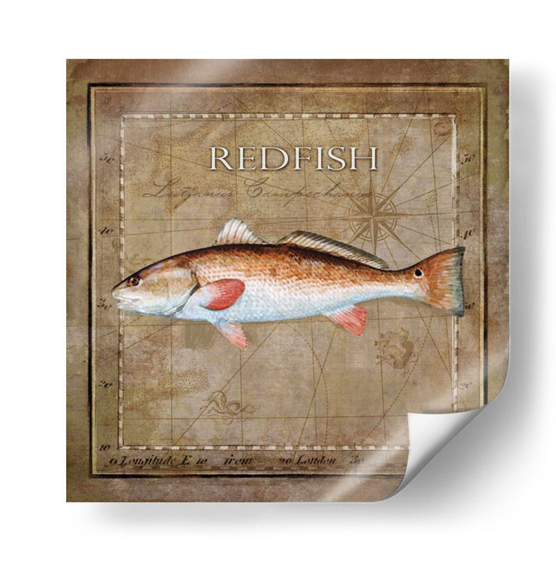 Ocean Fish Ix - Beth Anne Creative | Cuadro decorativo de Canvas Lab