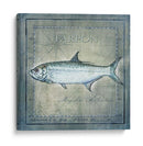 Pez Oceánico X - Beth Anne Creative | Cuadro decorativo de Canvas Lab