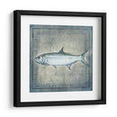 Pez Oceánico X - Beth Anne Creative | Cuadro decorativo de Canvas Lab