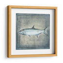 Pez Oceánico X - Beth Anne Creative | Cuadro decorativo de Canvas Lab