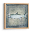 Pez Oceánico X - Beth Anne Creative | Cuadro decorativo de Canvas Lab