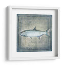 Pez Oceánico X - Beth Anne Creative | Cuadro decorativo de Canvas Lab