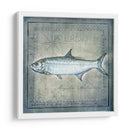 Pez Oceánico X - Beth Anne Creative | Cuadro decorativo de Canvas Lab