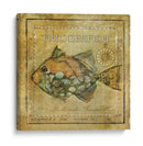 Ocean Fish Xi - Beth Anne Creative | Cuadro decorativo de Canvas Lab