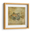 Ocean Fish Xi - Beth Anne Creative | Cuadro decorativo de Canvas Lab
