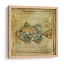 Ocean Fish Xi - Beth Anne Creative | Cuadro decorativo de Canvas Lab