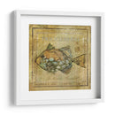 Ocean Fish Xi - Beth Anne Creative | Cuadro decorativo de Canvas Lab