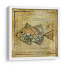 Ocean Fish Xi - Beth Anne Creative | Cuadro decorativo de Canvas Lab