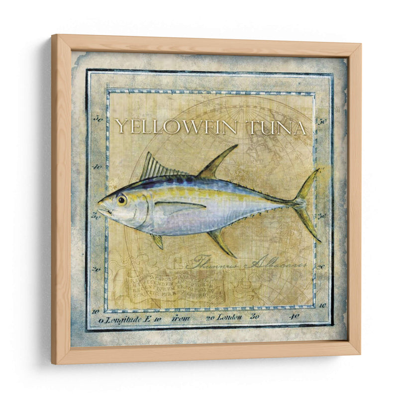 Ocean Fish Xii - Beth Anne Creative | Cuadro decorativo de Canvas Lab