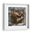 Estudio De Mariposa I - A. Project | Cuadro decorativo de Canvas Lab