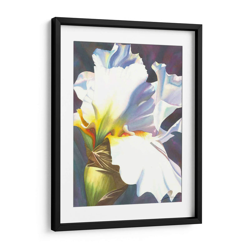 Azul Iris Ii - Jason Higby | Cuadro decorativo de Canvas Lab