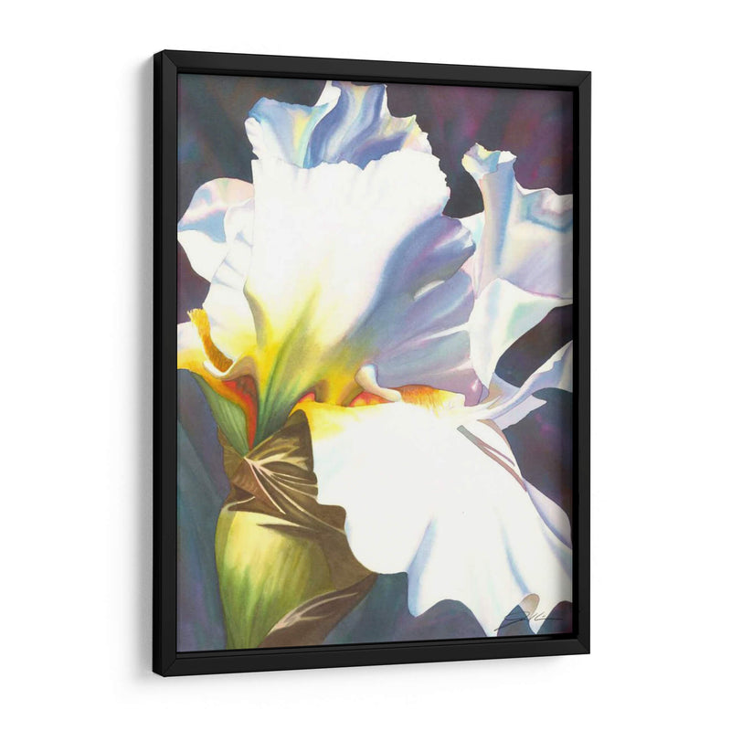 Azul Iris Ii - Jason Higby | Cuadro decorativo de Canvas Lab