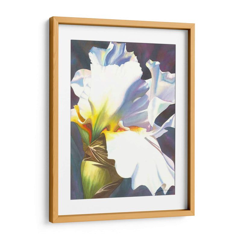 Azul Iris Ii - Jason Higby | Cuadro decorativo de Canvas Lab