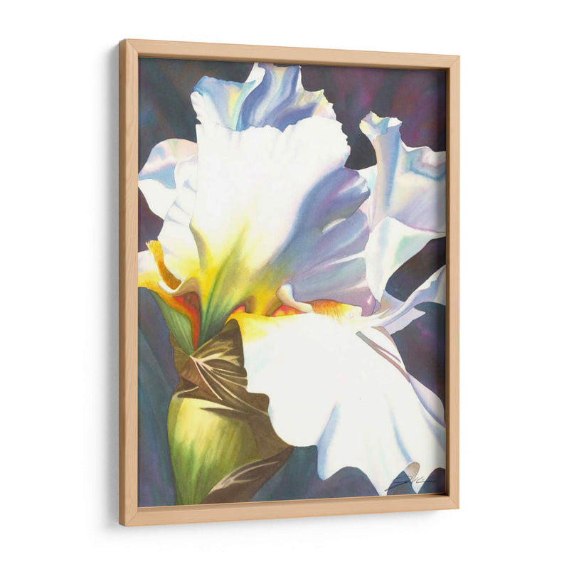 Azul Iris Ii - Jason Higby | Cuadro decorativo de Canvas Lab