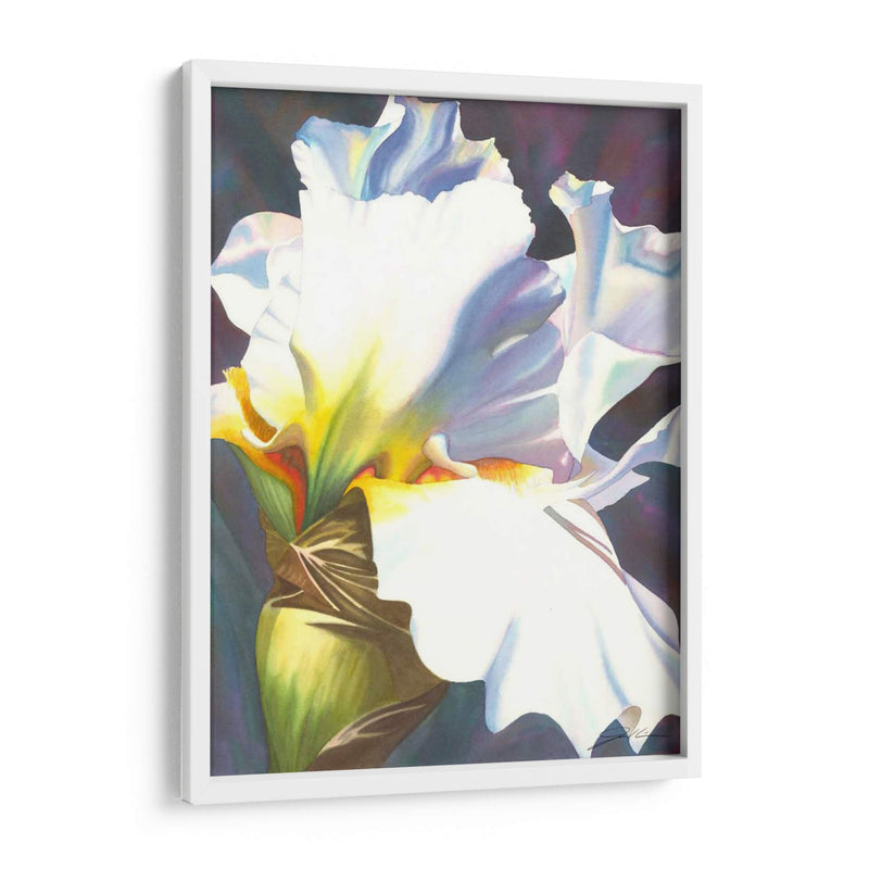 Azul Iris Ii - Jason Higby | Cuadro decorativo de Canvas Lab