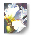 Azul Iris Ii - Jason Higby | Cuadro decorativo de Canvas Lab