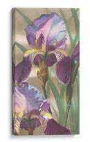 Iris Asiática I - Jason Higby | Cuadro decorativo de Canvas Lab