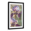 Iris Asiática I - Jason Higby | Cuadro decorativo de Canvas Lab