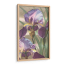 Iris Asiática I - Jason Higby | Cuadro decorativo de Canvas Lab